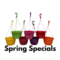 25CM PLASTIC HANGING POTS / BASKETS PLANTERS X10 - VIVID COLOURS
